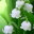 bouquet.png