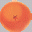 dragonball1.gif