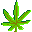 plante_qui_fait_rigoler.gif